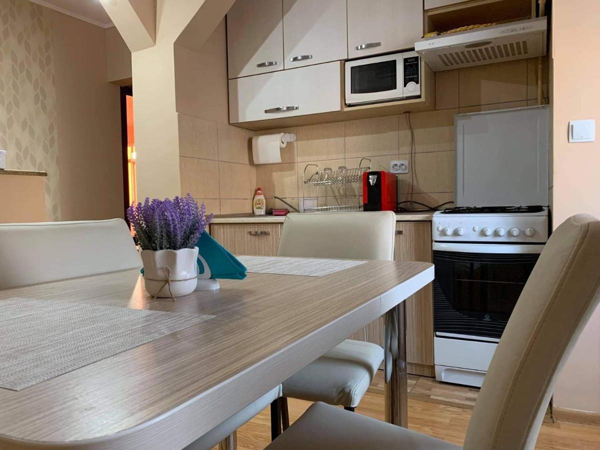Vlad'S Apartment Târgu-Mureş 外观 照片