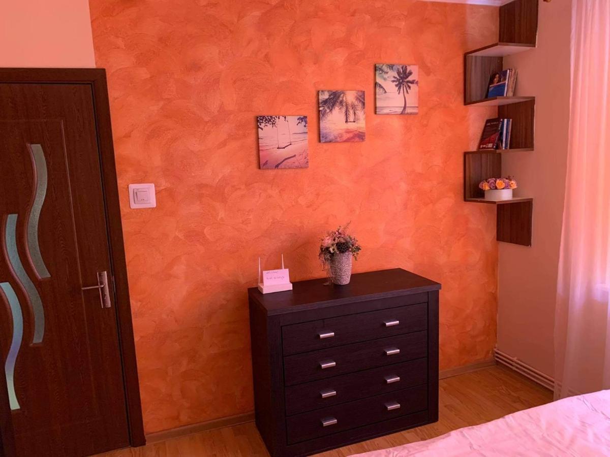 Vlad'S Apartment Târgu-Mureş 外观 照片