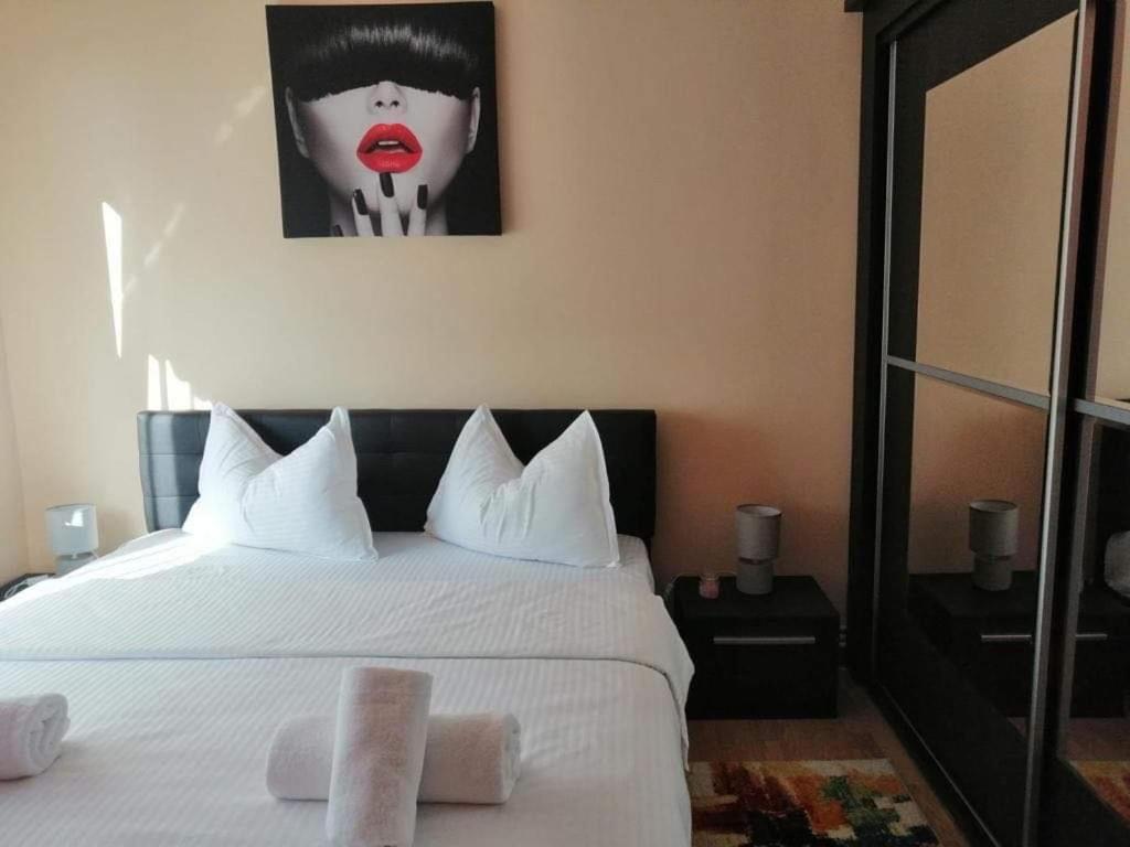 Vlad'S Apartment Târgu-Mureş 外观 照片
